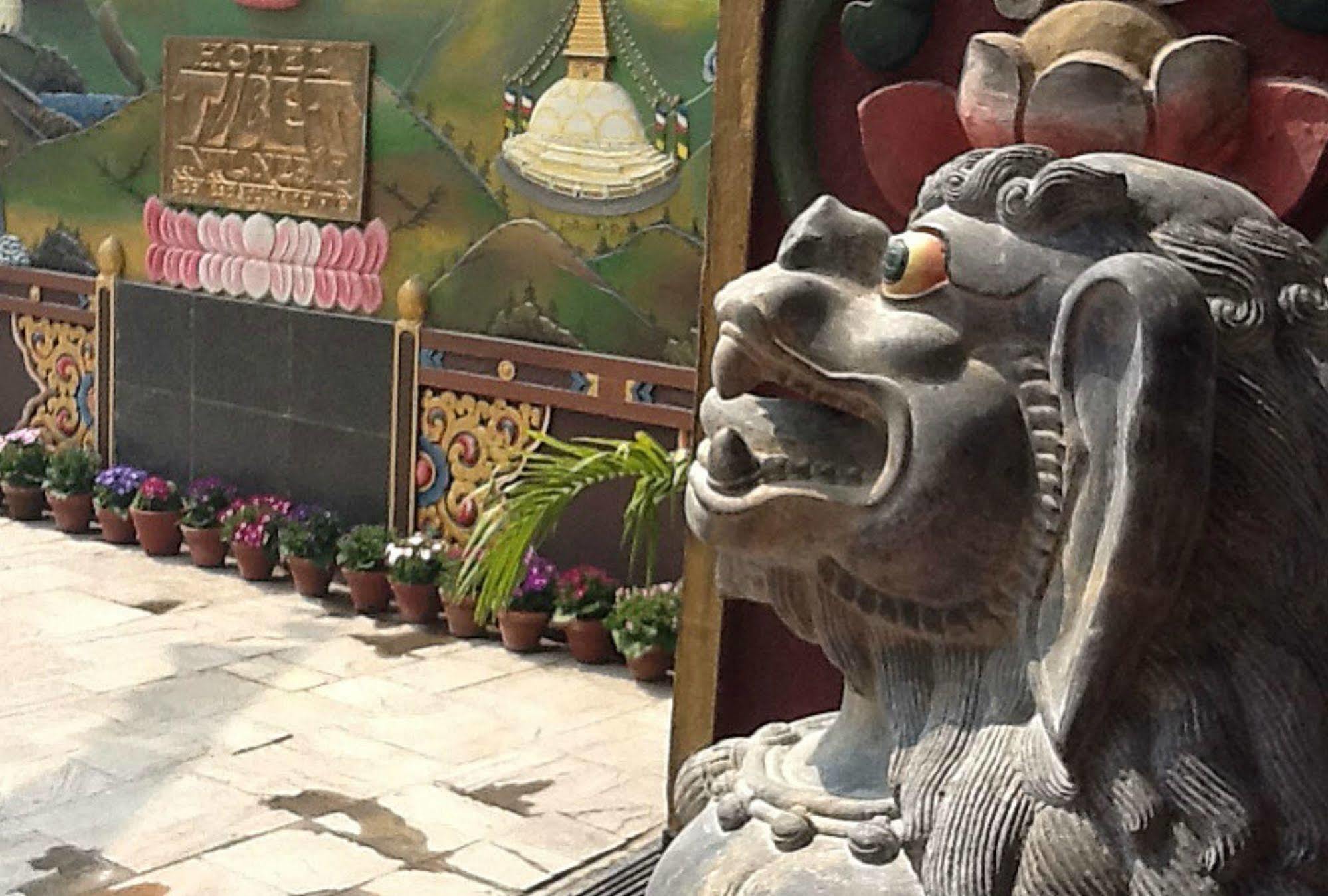Hotel Tibet International Κατμαντού Εξωτερικό φωτογραφία